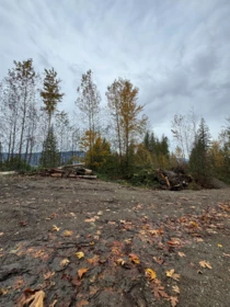 Office / Den Photo of 41768 Bowman Road, Yarrow, BC