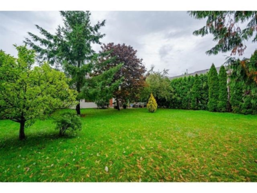 Kitchen Photo of 19680 56 Avenue, Langley, BC