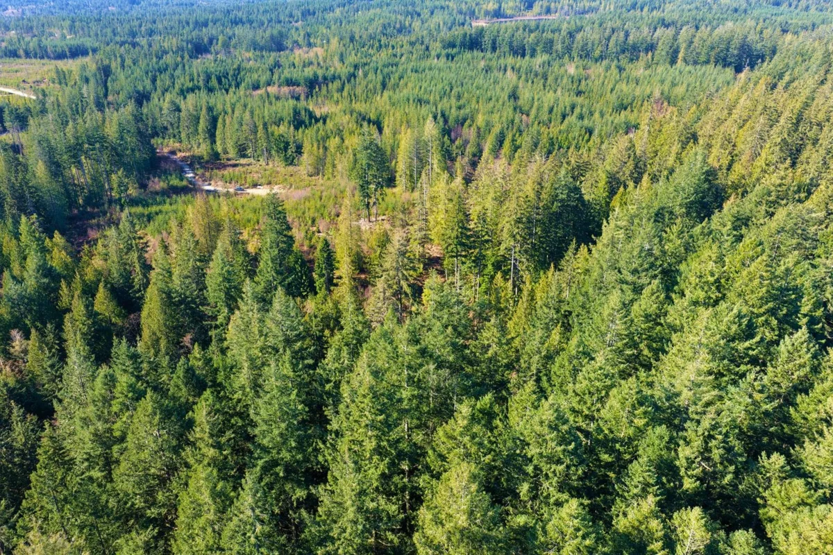 Family Room Photo of BLOCK A Lockyer Road, Roberts Creek, BC