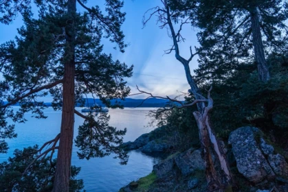 Playground / Recreational Area Near 1369 Mackinnon Road, Pender Island, BC