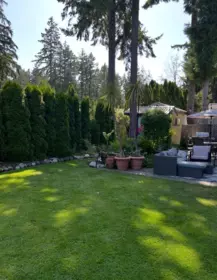 Aerial View of 11702 64a Avenue, Delta, BC