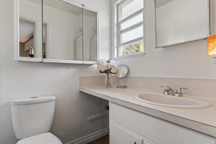 Guest Bathroom Photo of 459 Naismith Avenue, Harrison Hot Springs, BC