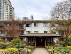 316 620 Eighth Avenue, New Westminster, BC