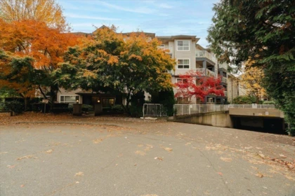 Basement Recreation Room Photo of 309 8115 121a Street, Surrey, BC