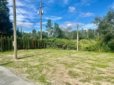 17382 Ford Road Detour, Pitt Meadows, BC, Pitt Meadows — Single Family Residence for sale