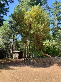 Outdoor Deck Photo of 332 Deacon Hill Road, Mayne Island, BC