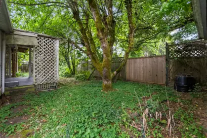 Outdoor Kitchen Photo of 8819 157 Street, Surrey, BC