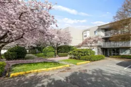 102 9948 151 Street, Surrey, BC
