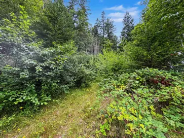 Kitchen Island Photo of LOT 18 Cecil Hill Road, Madeira Park, BC