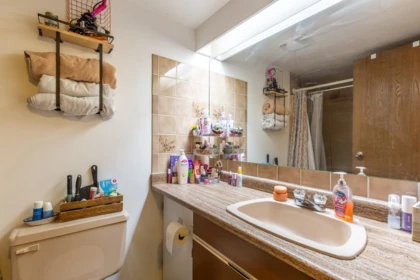 Guest Bathroom Photo of 307A 21000 Enzian Way, Mission, BC