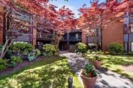 313 15300 17 Avenue, Surrey, BC