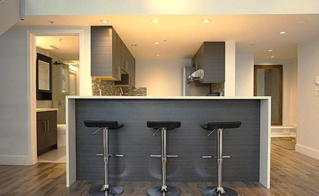 905 1238 Seymour Street, Vancouver, BC