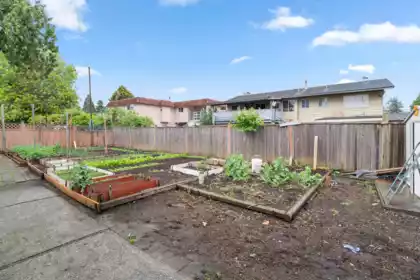 Outdoor Kitchen Photo of 11776 86 Avenue, Delta, BC