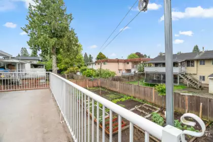 Aerial View of 11776 86 Avenue, Delta, BC