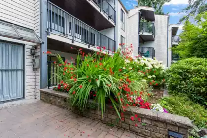 101 9952 149 Street, Surrey, BC, Surrey — Apartment/Condo for sale
