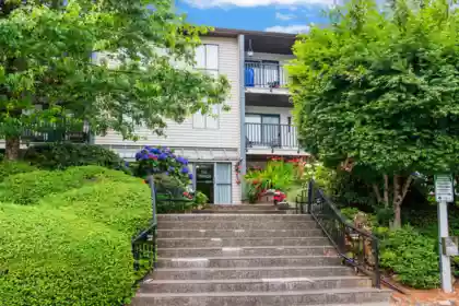101 9952 149 Street, Surrey, BC, Surrey — Apartment/Condo for sale