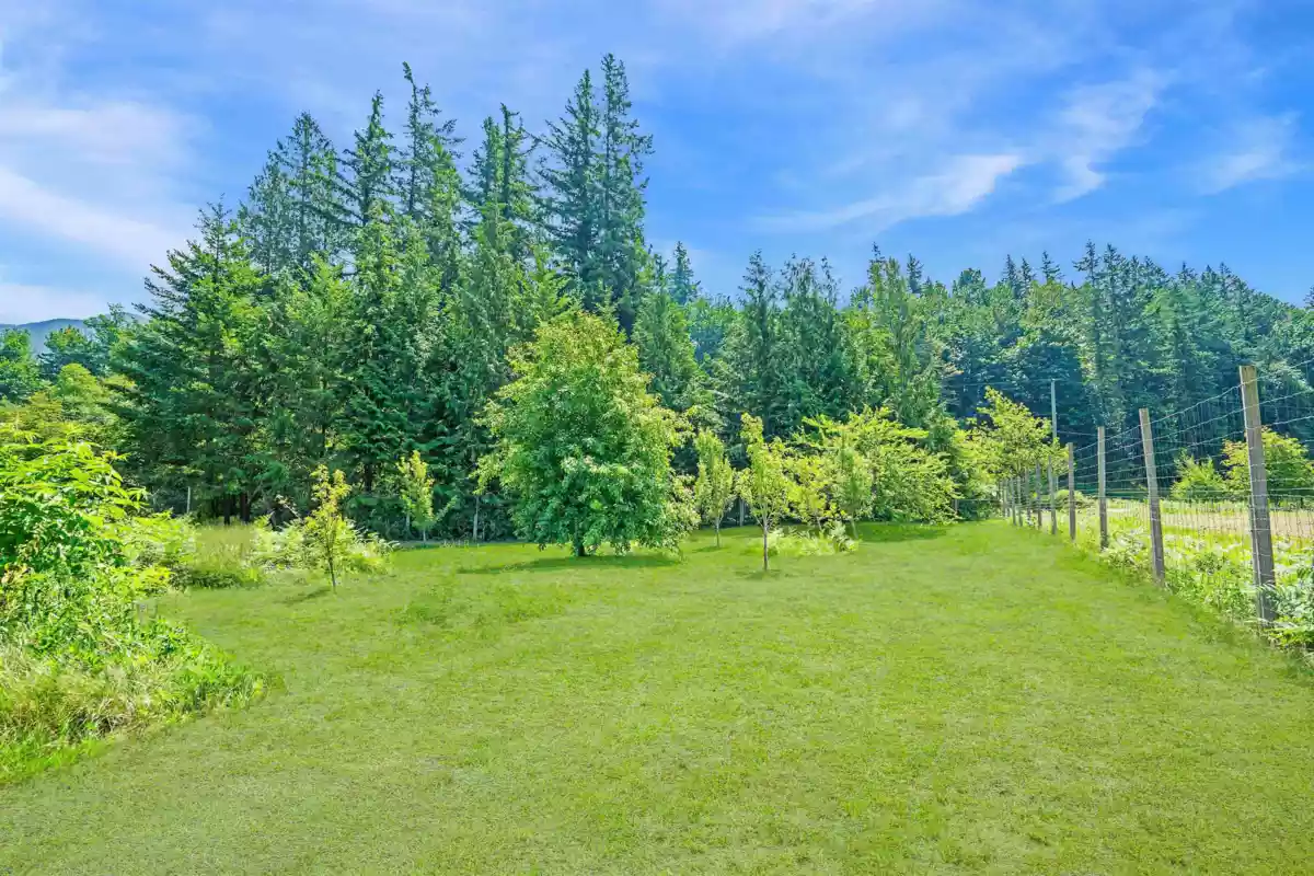 Hot Tub / Spa Photo of 1185 Columbia Valley Road, Columbia Valley, BC