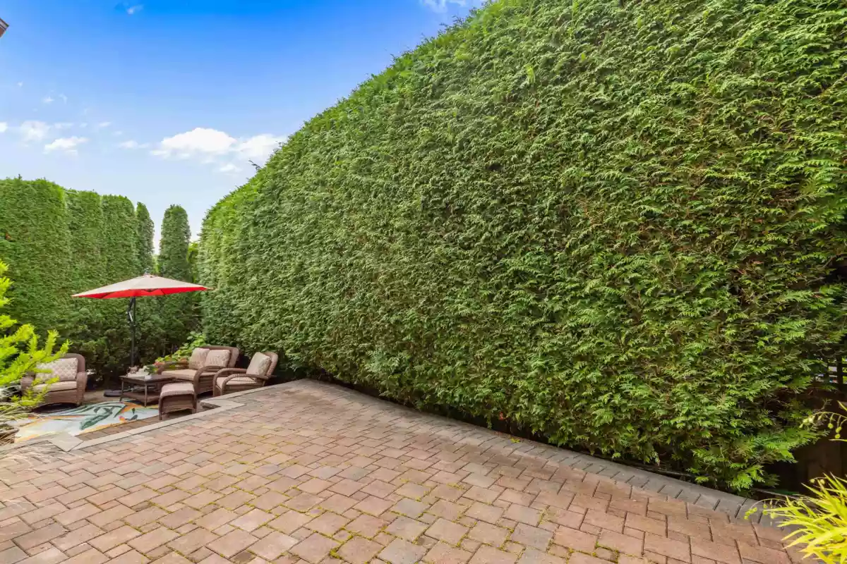 Street View Photo of 29 11442 Best Street, Maple Ridge, BC