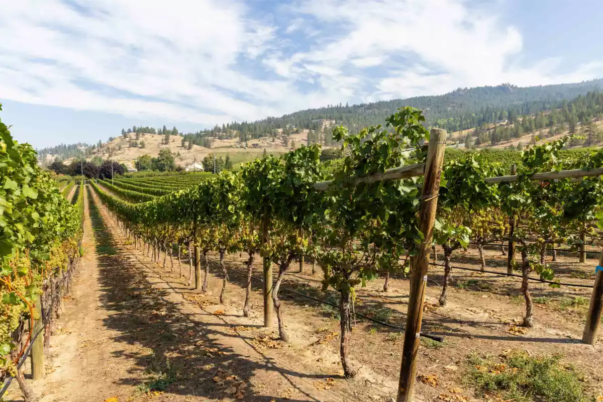 Bedroom 3 Photo of 1116 Naramata Road, No City Value, BC