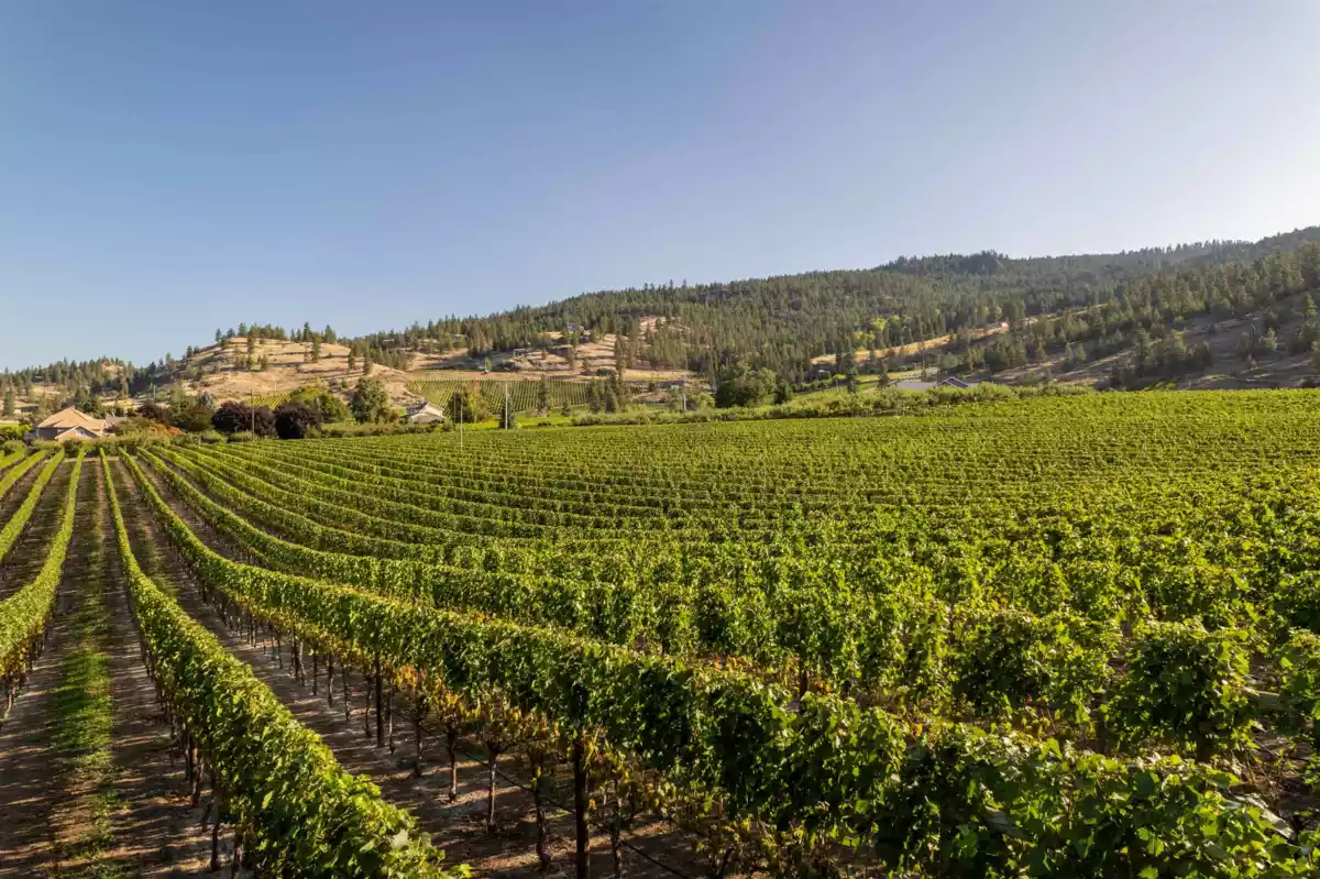 Powder Room Photo of 1116 Naramata Road, No City Value, BC