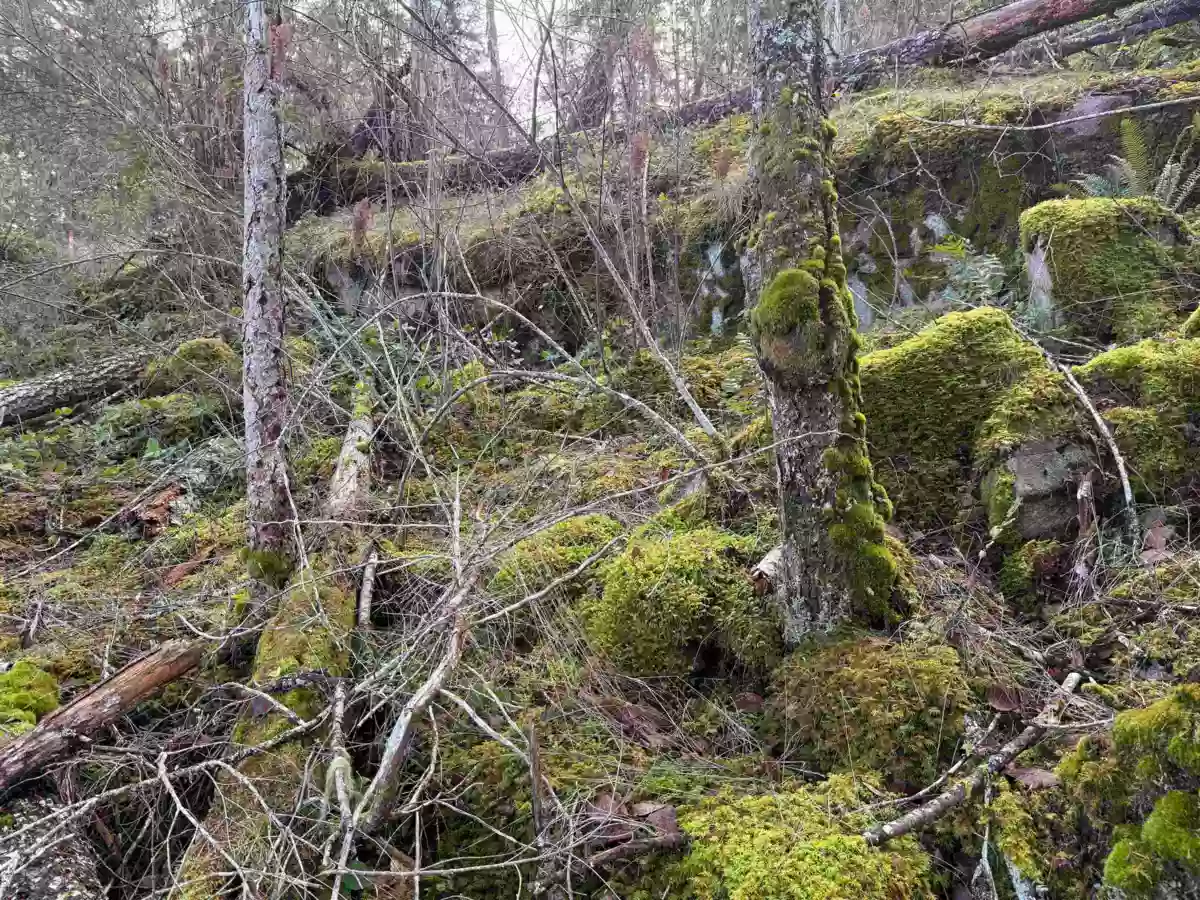 Bedroom 4 Photo of LOT B Francis Peninsula Road, Madeira Park, BC