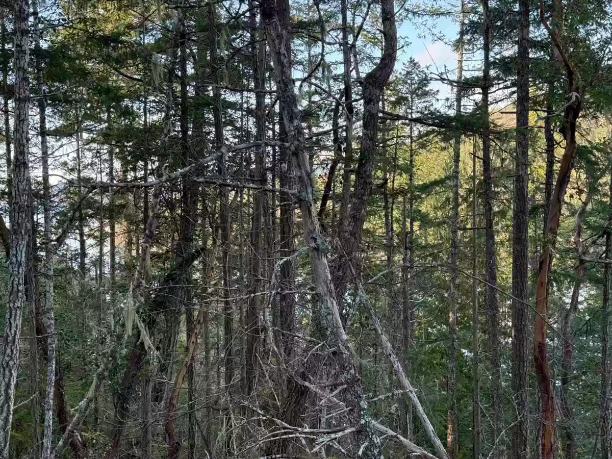Breakfast Nook Photo of LOT B Francis Peninsula Road, Madeira Park, BC