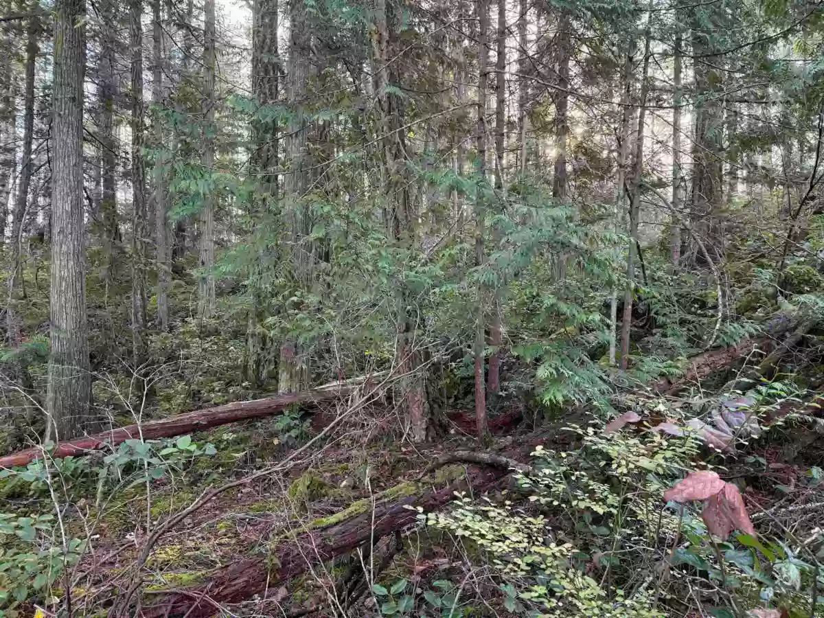 Pantry Photo of LOT B Francis Peninsula Road, Madeira Park, BC