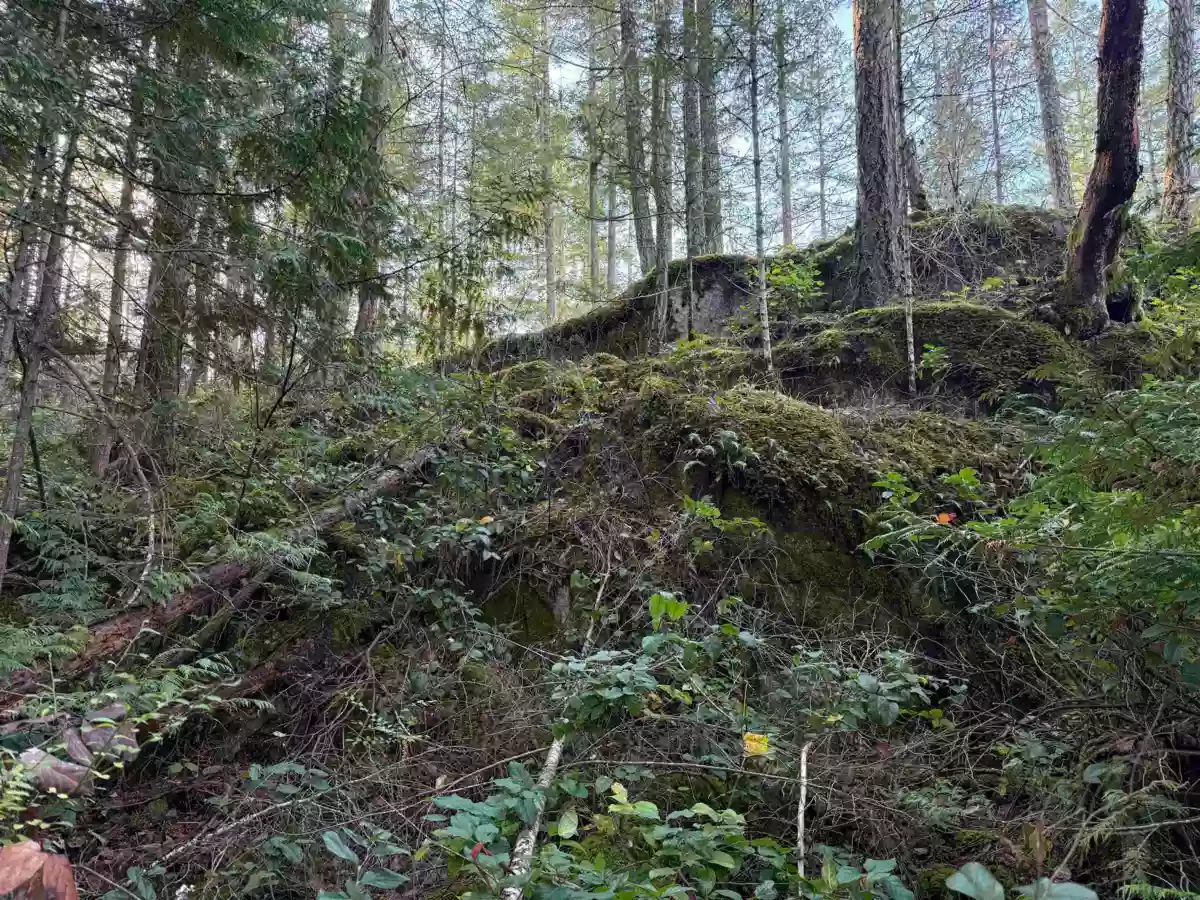 Walk-In Closet Photo of LOT B Francis Peninsula Road, Madeira Park, BC