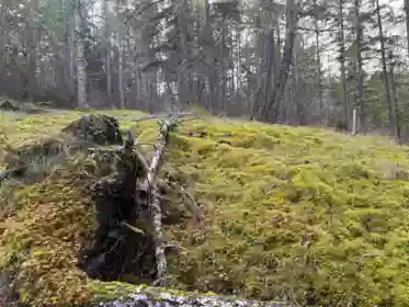 LOT B Francis Peninsula Road, Madeira Park, BC, Madeira Park — Land for sale