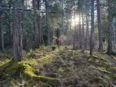 LOT B Francis Peninsula Road, Madeira Park, BC, Madeira Park — Land for sale