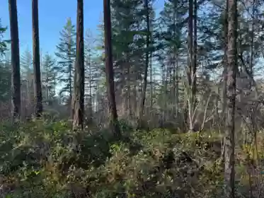 LOT B Francis Peninsula Road, Madeira Park, BC, Madeira Park — Land for sale