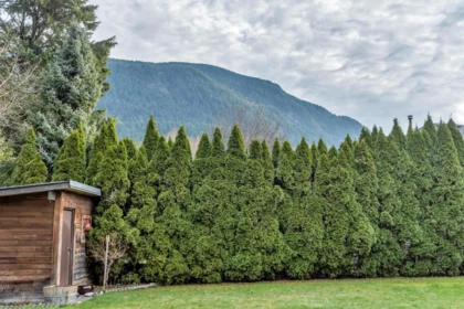 Fitness Center Photo Near 223 Balsam Avenue, Harrison Hot Springs, BC