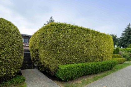 1915 Chesterfield Avenue, North Vancouver, BC, North Vancouver — Single Family Residence for sale