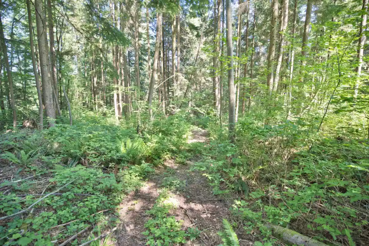 Fitness Center Photo Near 13100 Bell Street, Mission, BC