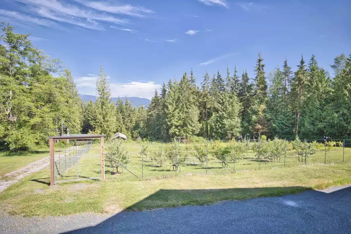 Kitchen Photo of 13100 Bell Street, Mission, BC