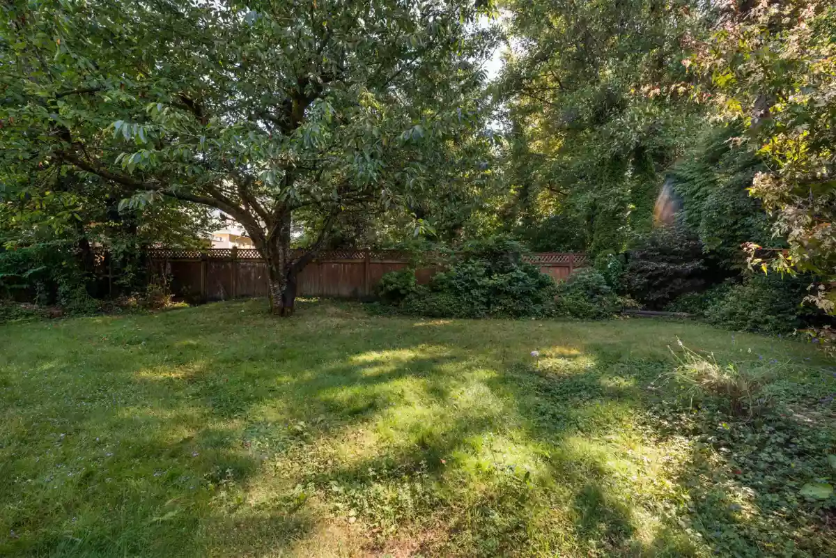 Basement Recreation Room Photo of 10996 82 Avenue, Delta, BC