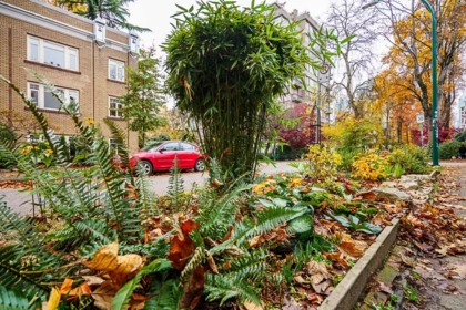 302 936 Bute Street, Vancouver, BC