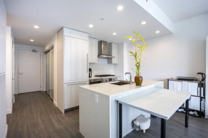 Pantry Photo of 1505 2311 Beta Avenue, Burnaby, BC