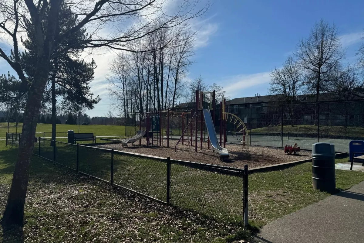 Basement Recreation Room Photo of 33 22488 116 Avenue, Maple Ridge, BC