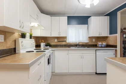 50 15875 20 Avenue, Surrey, BC, Surrey — Manufactured On Land for sale