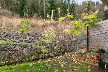 Backyard Photo of 71 6026 Lindeman Street, Chilliwack, BC