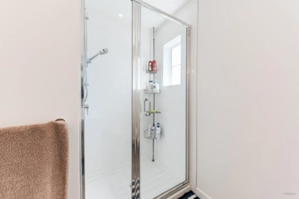 Guest Bathroom Photo of 8 2560 Pitt River Road, Port Coquitlam, BC