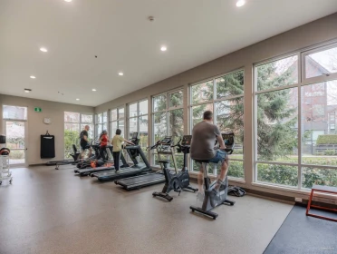 Aerial View of 18 2310 Ranger Lane, Port Coquitlam, BC