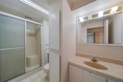 Powder Room Photo of 107 Seventh Avenue, New Westminster, BC
