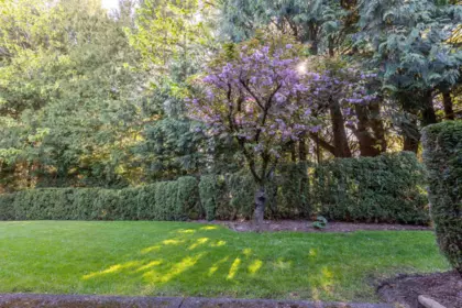 Neighborhood Park Photo Near 16 2988 Horn Street, Abbotsford, BC