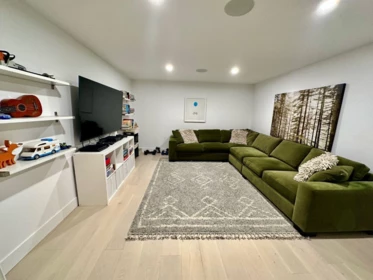 Basement Recreation Room Photo of 301 Second Avenue, Cultus Lake, BC