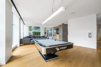 Basement Recreation Room Photo of 3308 1289 Hornby Street, Vancouver, BC