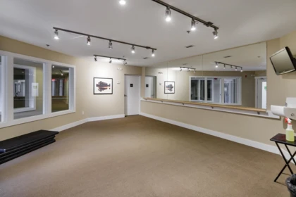 Aerial View of 120 9133 Government Street, Burnaby, BC
