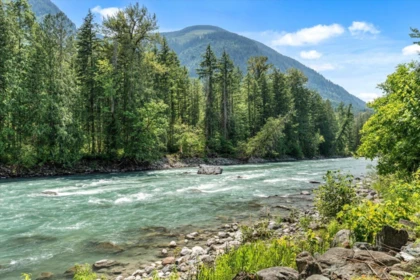 Backyard Photo of 49322 Neville Road, Sardis - Chwk River Valley, BC