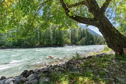 Outdoor Deck Photo of 49322 Neville Road, Sardis - Chwk River Valley, BC